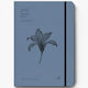 adBook Season You Ημερήσια Ατζέντα B5 2027 17x25εκ.