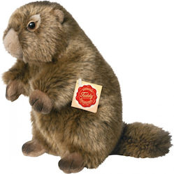 Teddy Jucărie de pluș 20 cm