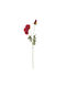 JK Home Décor Zweig mit Roter Mohnblume 74 cm