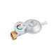 Proton Low Pressure Gas Regulator with Manometer