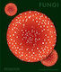 Fungi: The World Of Mushrooms Phaidon Editors Phaidon Press Ltd