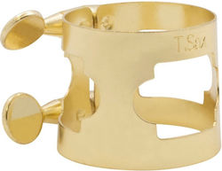 Trophy for Saxophone