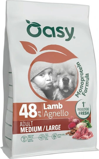10kg Dry Food for Adult Dogs of Medium and Large Breeds with Lamb