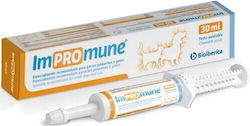 Pet Safe Multivitamin-Paste für Hunde und Katzen 30 ml zur Unterstützung der allgemeinen Gesundheit
