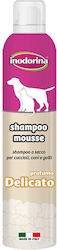 Inodorina Shampoo Mousse Duft Delicato 300 ml Inodorina Inodorina Shampoo Mousse Duft Delicato 300 ml Inodorina