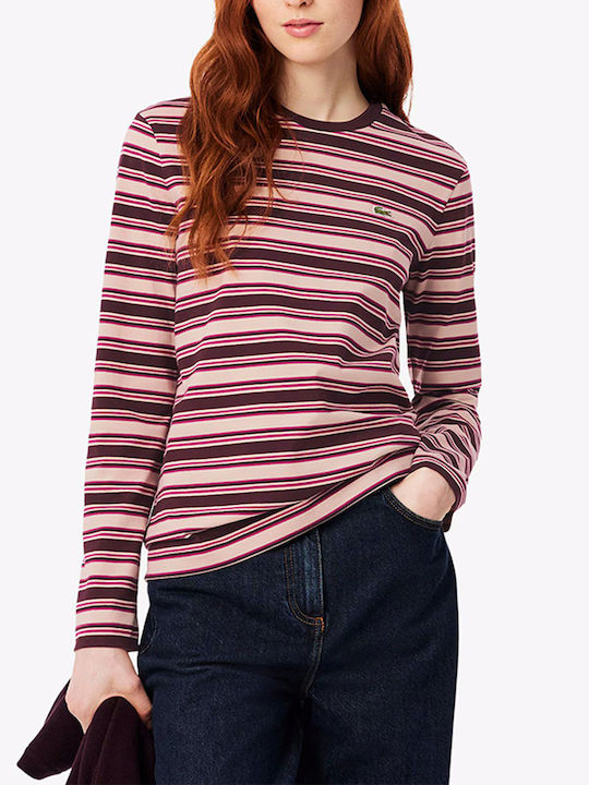 Lacoste Bluse Multi