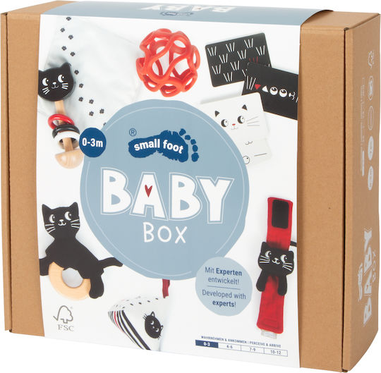 Sensory Perception & Discovery for Newborns