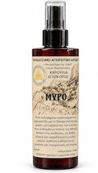 Traditioneller Athonitischer Raumduft für Ikonen Myron des Heiligen David von Karoulia vom Heiligen Berg Athos 250 ml Traditioneller Athonitischer Raumduft für Ikonen Myron des Heiligen David von Karoulia vom Heiligen Berg Athos 250 ml