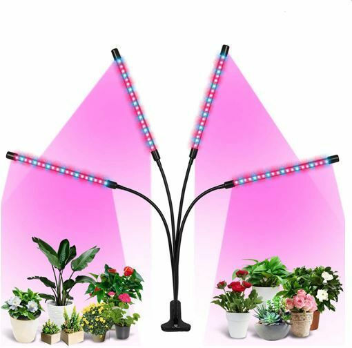 Desk Grow Light with LED