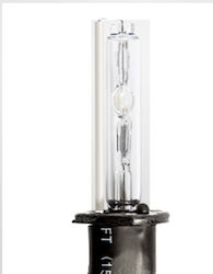 H1 Λαμπα Xenon 6000kelvin Xenon H1 Lamp 6k H1 Λαμπα Xenon 6000kelvin Xenon H1 Lamp 6k