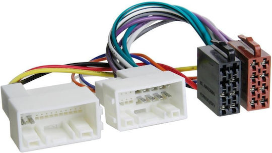 ACV Spezieller Auto-Audio-ISO-Stecker Hyundai / Kia