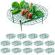 Relaxdays Strawberry Baskets Set 15 Dark Green