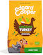 2.5kg Dry Food for Adult Dogs with Turkey, Chicken, Rice, Meat and Vegetables