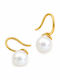Gold Steel Earrings 316l White Pearl E5003