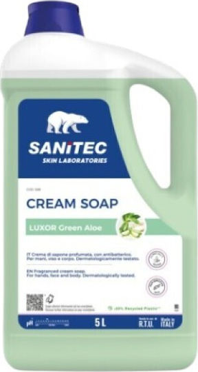 Sanitec Produs profesional pentru curățarea mâinilor 5 l 2 buc EC-SAN1081B