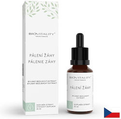 Green Idea Αιθέριο Έλαιο Ginger 25ml