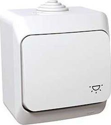 Schneider Electric Διακόπτης