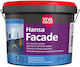 VivaColor Exterior Water-Based Paint La-alus 2.7 L