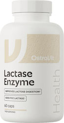 OstroVit Lactase Enzyme 60 κάψουλες