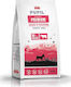 10kg Dry Food for Small Breed Puppies with Beef