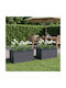vidaXL Set of 2 Metal Planter Boxes Anthracite