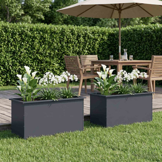 vidaXL Set of 2 Metal Planter Boxes Anthracite