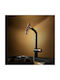 Higold Counter-Mounted Kitchen Faucet with Pull-Out Spray in Rose Gold