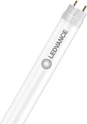 Ledvance Φθορίου G13 με Σχήμα T8 16W Ledvance Φθορίου G13 με Σχήμα T8 16W