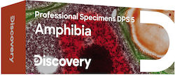 Discovery Prof Amphibian Specimens