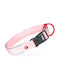 Petstory Zolux Premium Nylon Dog Collar 35-40 Cm/20 Mm S Pink