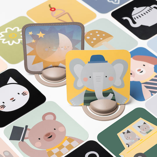 Taf Toys Ζωάκι My 1st Discoveries Flash Cards για Νεογέννητα