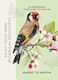 Paint-your-own Botanical Postcards 24 Detachable Postcards To Paint In Harriet De Winton