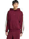 Sportswear M Ak 3s Oh Hd Hoodie Burgundy
