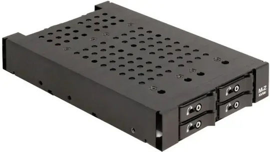 Delock 3.5" Removable Frame 4 × M.2 Nvme Ssds