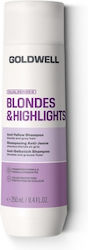 Goldwell Dualsenses Farbpflege Shampoo 250 ml