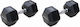 MegaFitness Sechseckige Hantel 1 x 20 kg