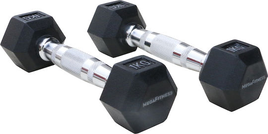 MegaFitness Sechseckhantel 1 x 1 kg