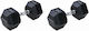 MegaFitness Sechseckige Hantel 1 x 30 kg