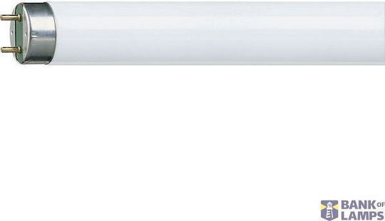 Tub Fluorescent 58 W/29 150 cm T8 TL-D