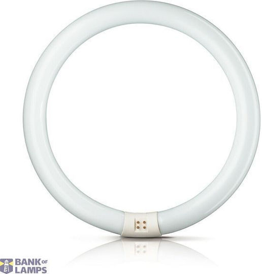 Leuchtstofflampe Lc G10q 40W/25-740 T9