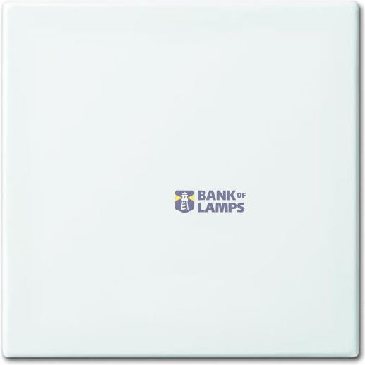 2506-914 Coverplates Partly Incl Insert Busch-balance Si Alpine White