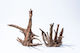 Tropical Aquarium Woods Set Corbo Root XL 50–70 cm