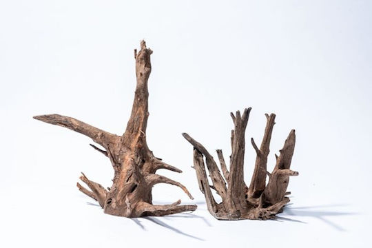 Tropical Aquarium Woods Set Corbo Root XL 50–70 cm