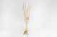 Τροπικα Ξυλα Ενυδρειου Temaxιο Aquadeco Slim Tree S 15–25 Cm