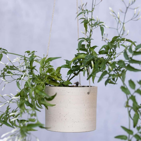 Lumarko Ceramic Flower Pot