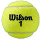 Wilson Roland Garros Clay 3 Ball Can