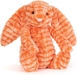 Jellycat Bunny