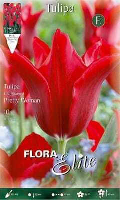 Flora Elite Луковици за лалета 10 бр.