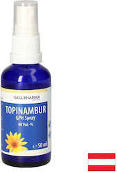 Gall Pharma Ерусалим 108mg 2.7gr 50ml Gall Pharma Ерусалим 108mg 2.7gr 50ml