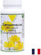 Vit'All+ Хризантема 250 mg 60 Капсули